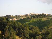 View from the garden - View from the garden